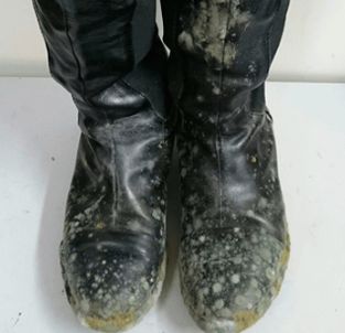 boots_kabi